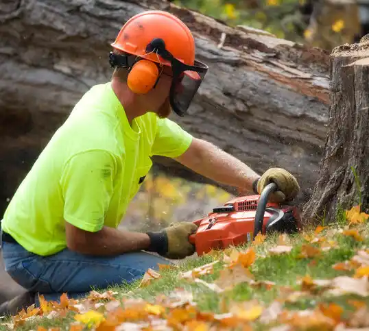 tree services Clay